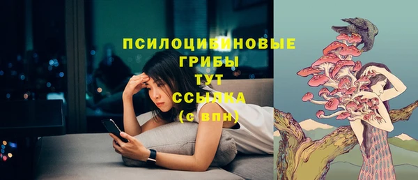 твердый Богородицк